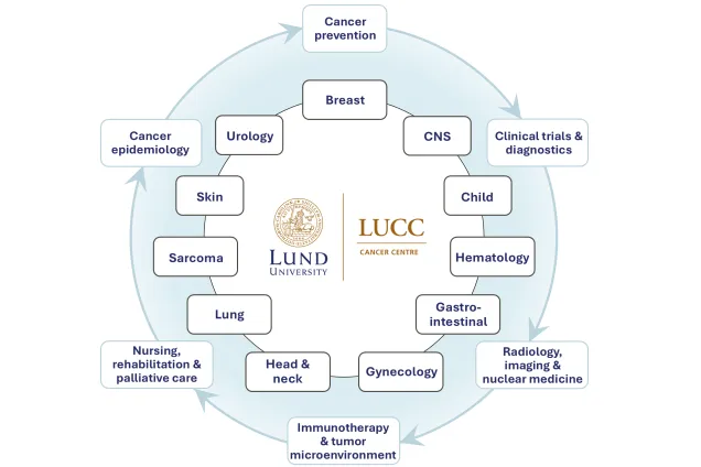 LUCC blue scheme 2025